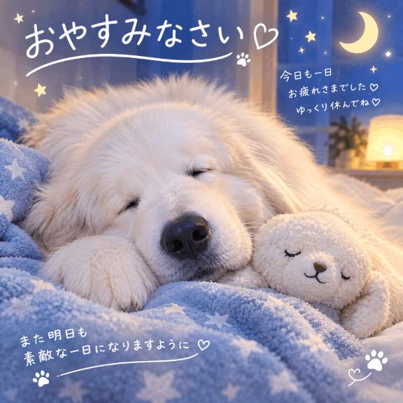 ちふゆ