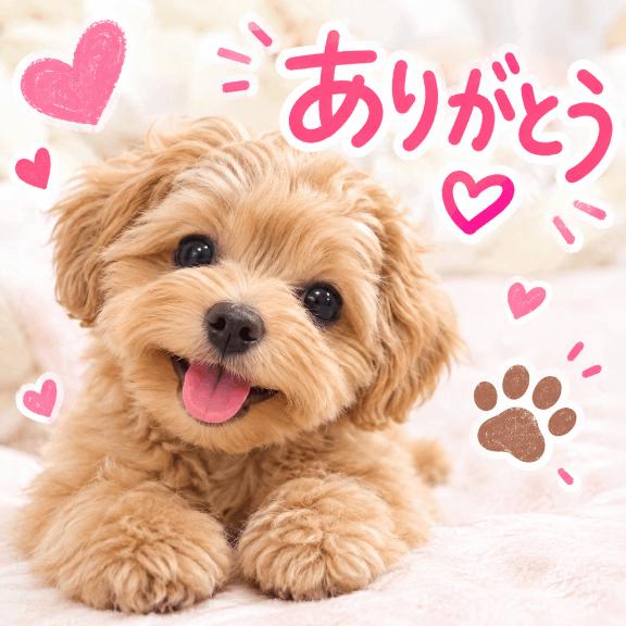 ちふゆ