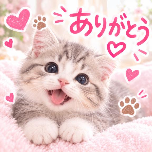 ちふゆ