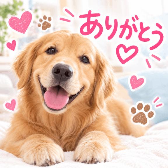 ちふゆ
