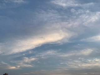 のぞみ