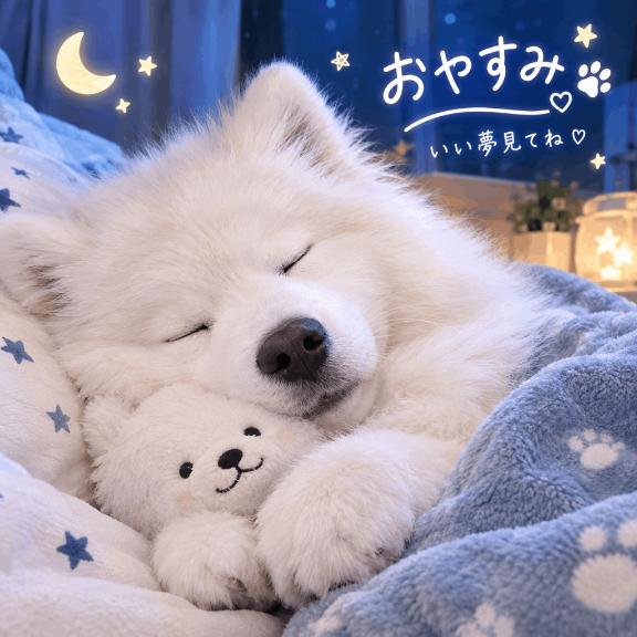 ちふゆ