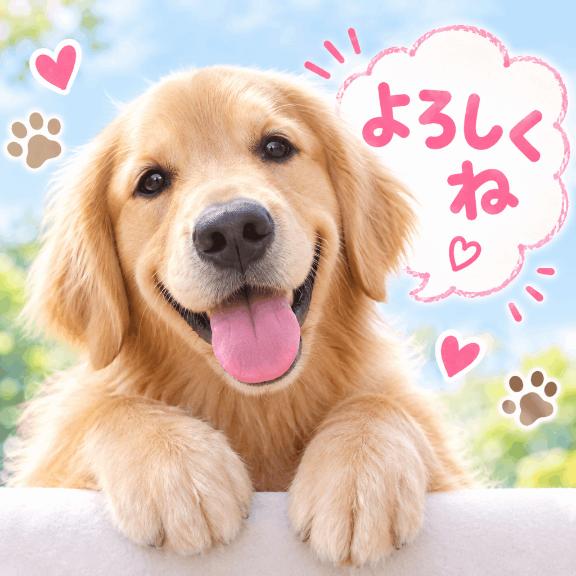 ちふゆ