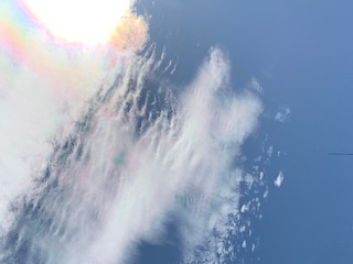 のぞみ